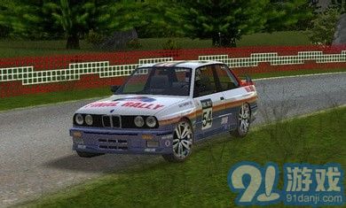 极限赛车最终拉力赛v1.14截图1