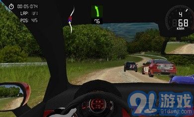 极限赛车最终拉力赛v1.14截图2