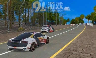 极限赛车最终拉力赛v1.14截图3