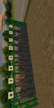 Derby Horse Questv1.8截图1