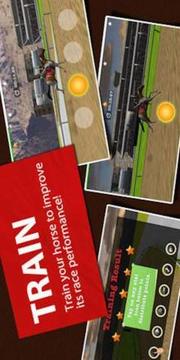 Derby Horse Questv1.8截图5