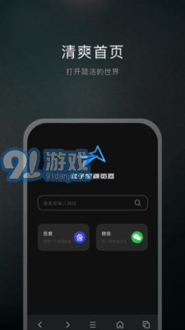 双子星浏览器v1.4截图2