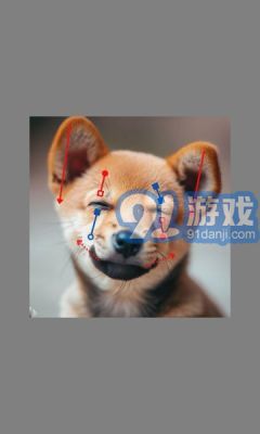 DragGAN AI图像编辑v1.4截图3