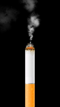 卷烟模拟器v1.8截图5