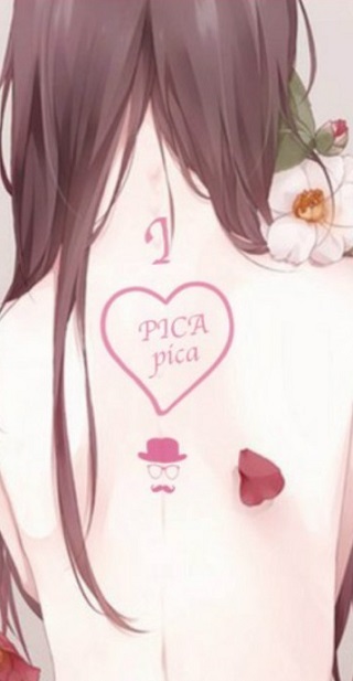 哔咔漫画安装包v13.6截图2