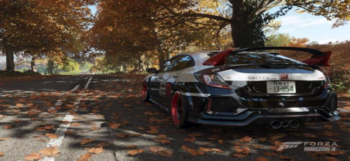 地平线4v1.1.9截图3