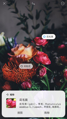 小米智能识物v0.8.4截图1