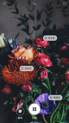 小米智能识物v0.8.4截图3