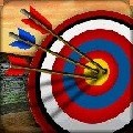 古代射箭大师3Dv2.30