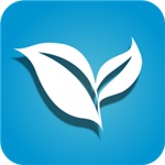 叶子tv直播v1.8.5