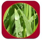 儿童听声识植物大全vV1.7