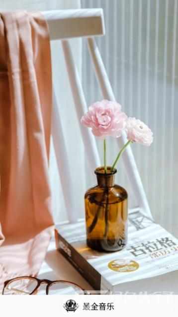 最全音乐vV08.26.32.6截图3