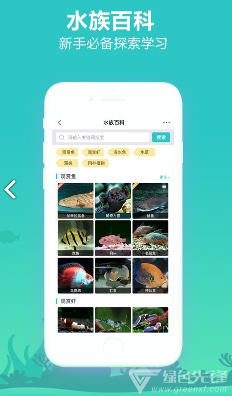 泡泡水族vV2.1.8截图1