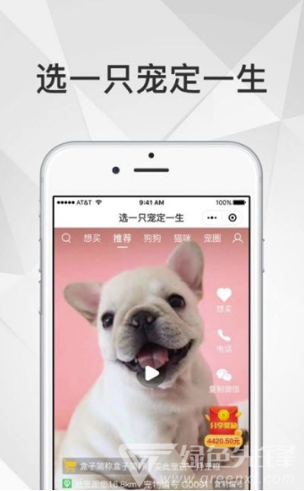 奶宠宠物短视频手机版vV1.0.7截图2