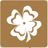 老人拨号王免费版v1.3