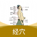 经络穴位指南v1.2