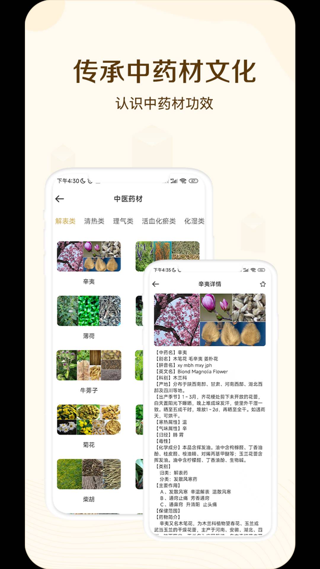 经络穴位指南v1.2截图1