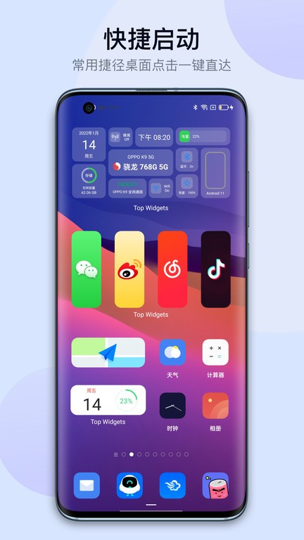万能小组件topwidgetsv2.8.4截图2