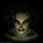 星际争霸：母巢之战v1.42