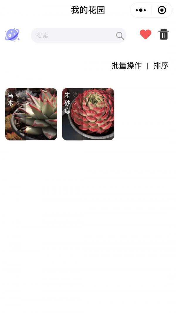 多肉圈安卓版v1.0.6截图1