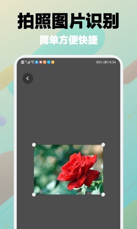树林记忆v1.5截图1