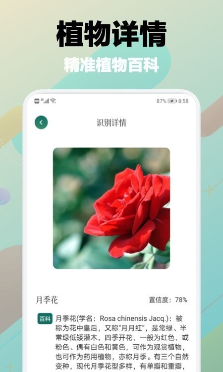 树林记忆v1.5截图2