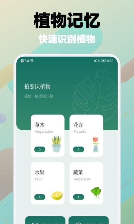 树林记忆v1.5截图3