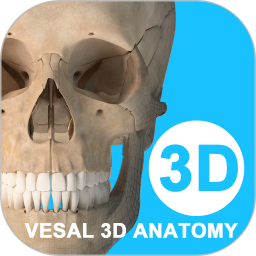 维萨里3D解剖自定义版v6.9.5