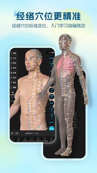 维萨里3D解剖自定义版v6.9.5截图5