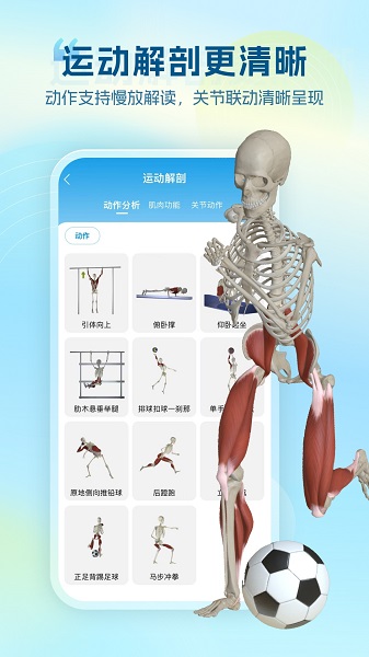 维萨里3D解剖免费正版v6.9.5截图4