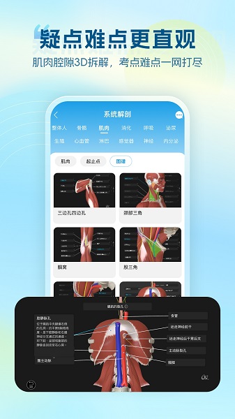 维萨里3D解剖定制版v6.9.5截图2