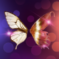夜蝶交友v1.7