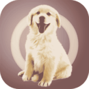 人狗交流器v1.3.11