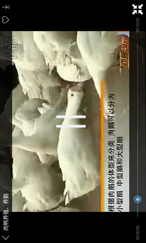 农企养鹅v1.7截图3