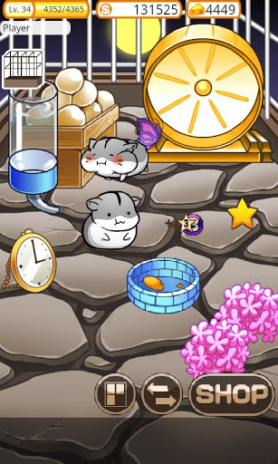 仓鼠的日常v3.9.8截图4