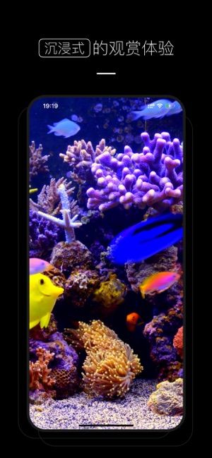 天气之子v1.3.5截图3