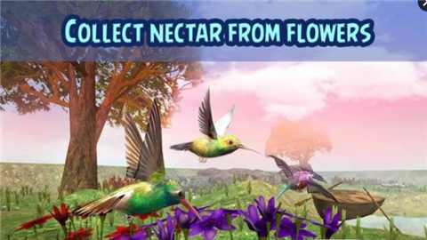 蜂鸟模拟器3Dv1.8截图2