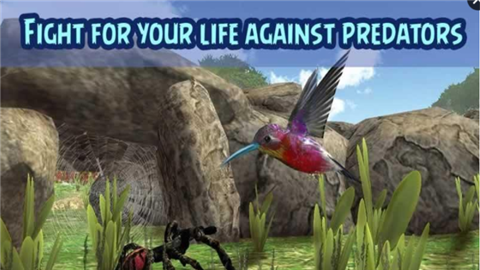 蜂鸟模拟器3Dv1.8截图4