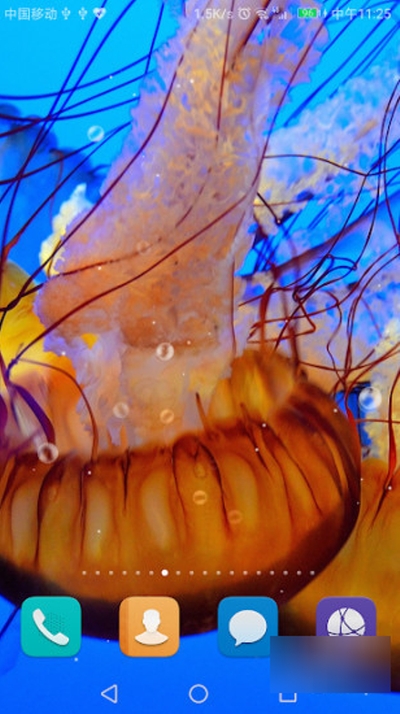 水母免费动态桌布Prov1.1.5截图1