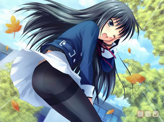 阳光下的真实v1.3.327截图2