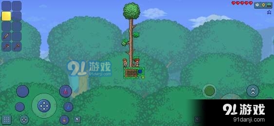 泰拉瑞亚v1.3.5.6截图2