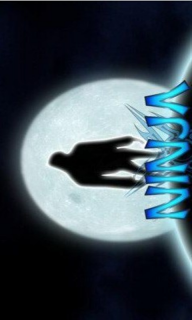 忍者胡迪正式版v1.3.5截图1