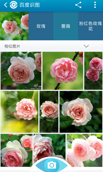 百度识图客户端v3.9.4截图4