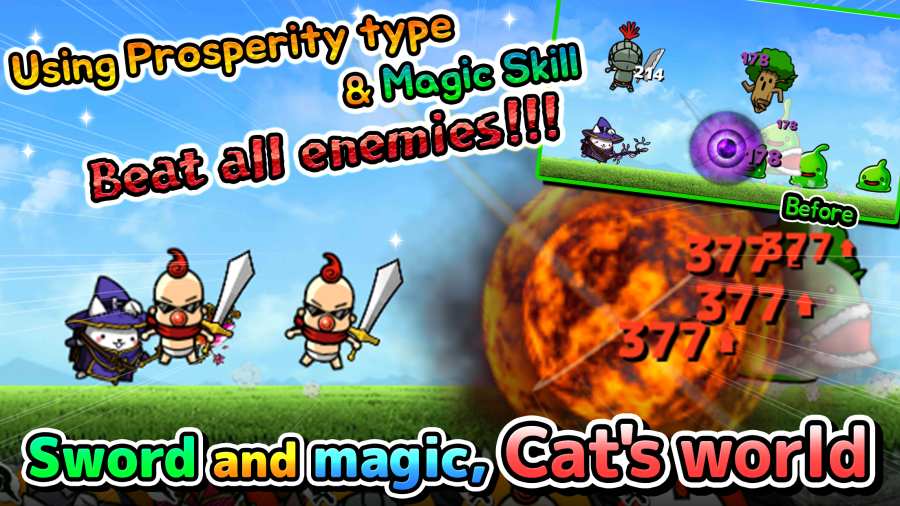 猫咪主上v2.5.4截图2