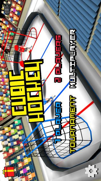 立方曲棍球3Dv1.10截图1