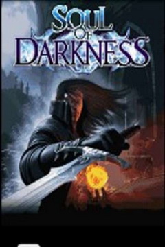 暗黑之魂v1.14截图1