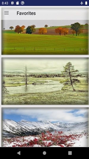 秋照壁纸v1.9截图1