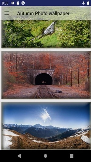秋照壁纸v1.9截图2