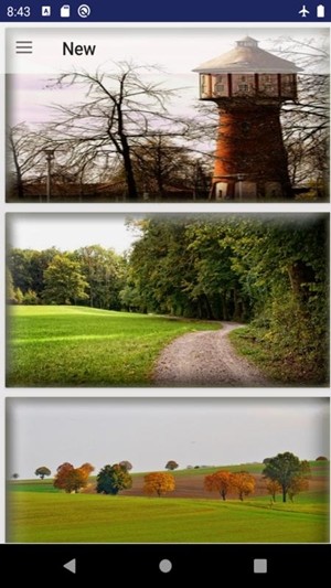 秋照壁纸v1.9截图3