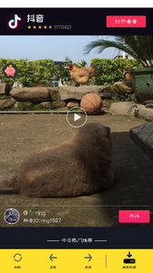 小乖鱼v1.5截图3